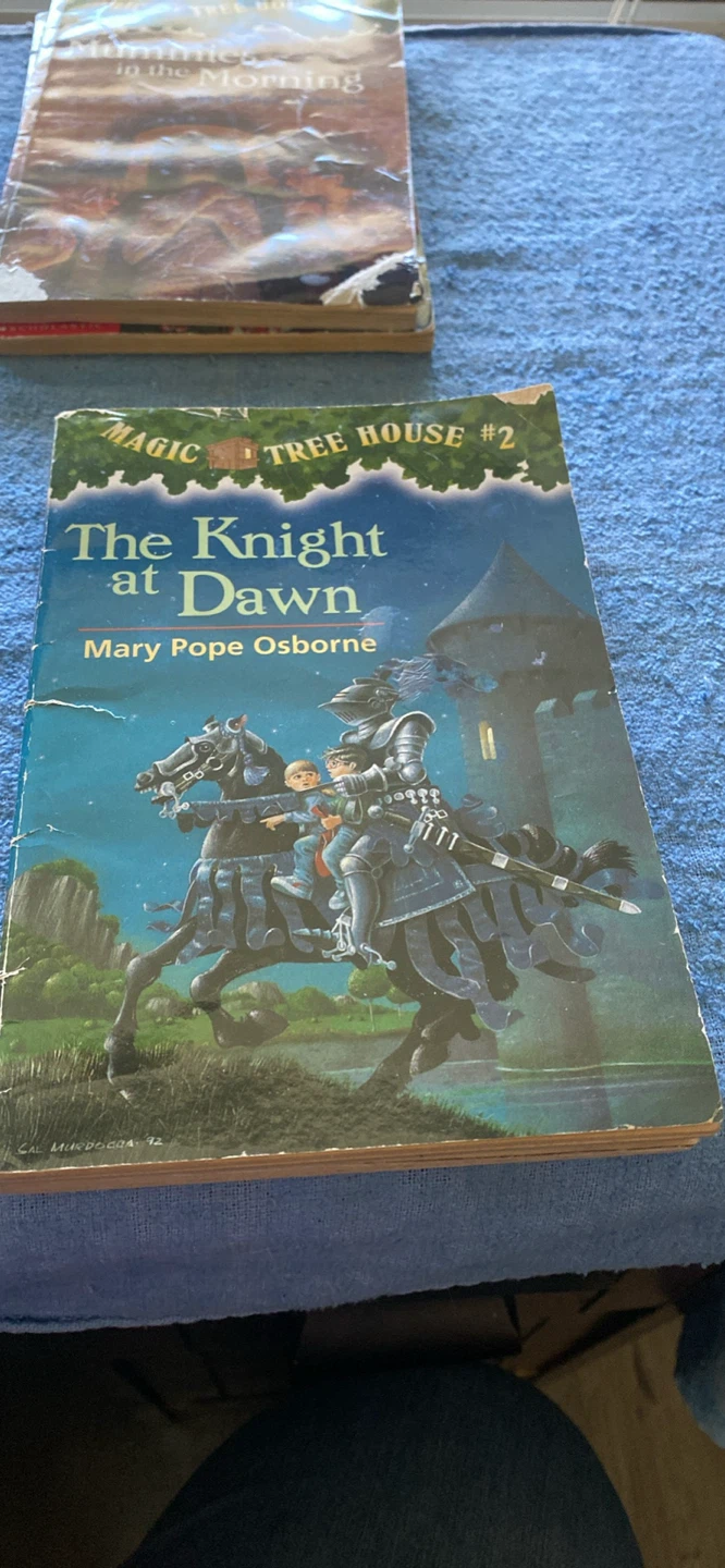 Magic Tree House Books 1, 2, 3, 4, 13 - photo 4