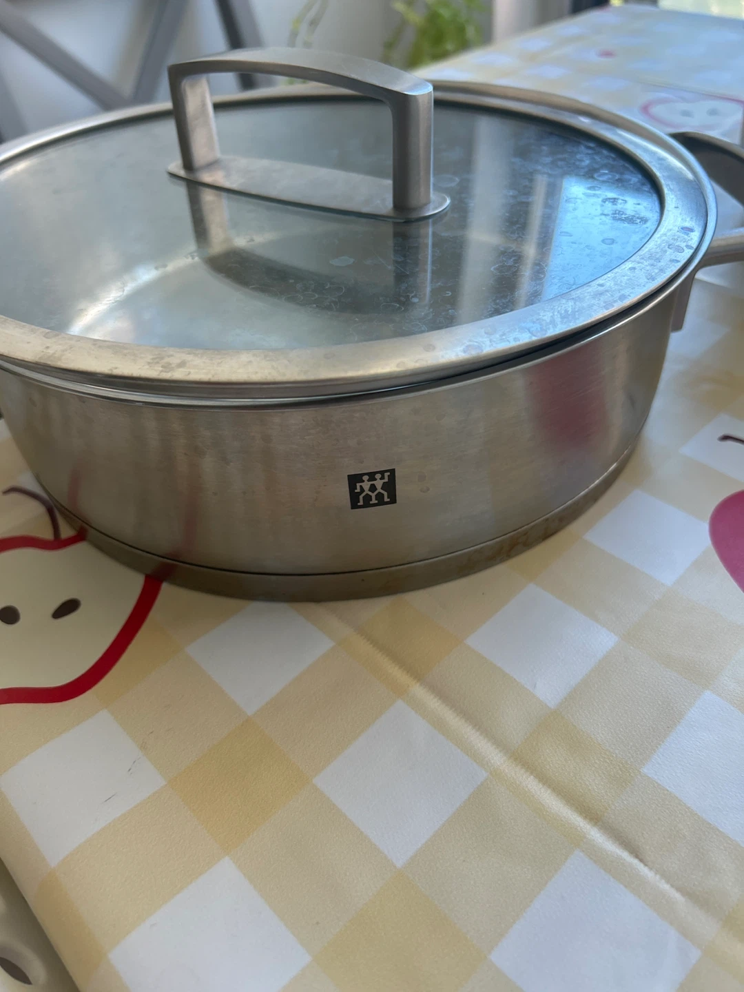 Zwilling Stainless Steel Pot with Lid
