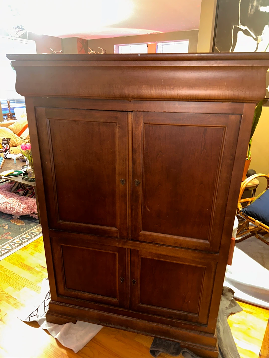 Vintage Wooden Media Cabinet with Doors