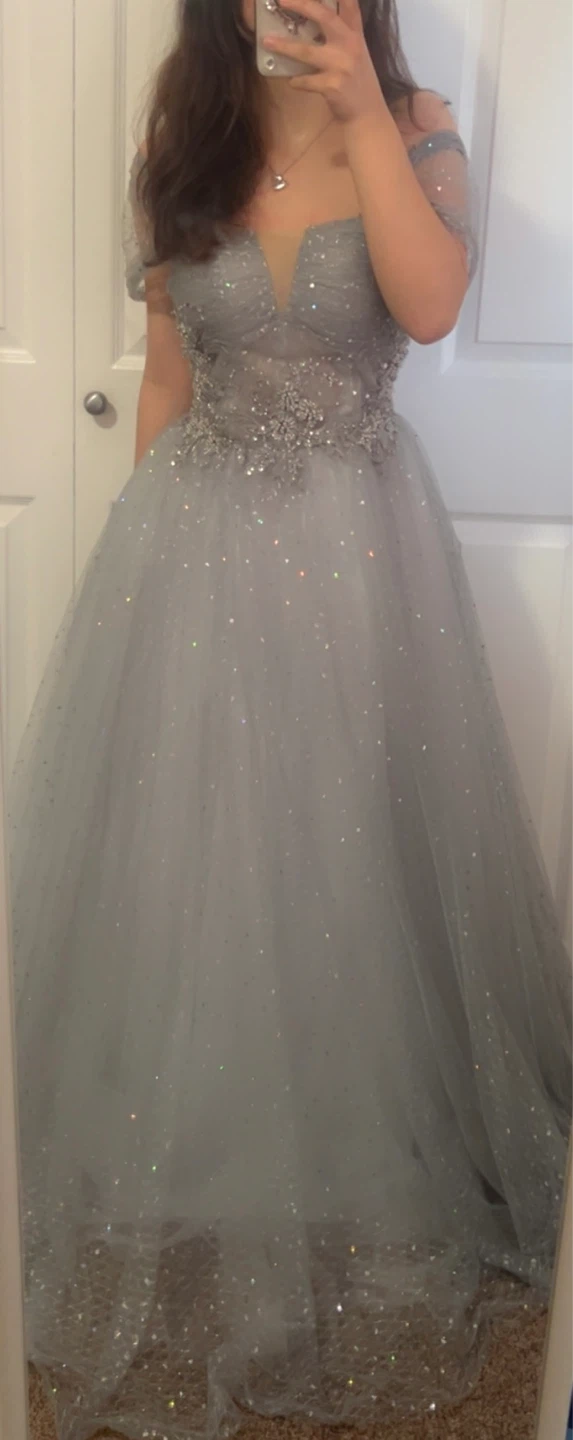 Sparkly Grey Tulle Prom Dress - photo 4