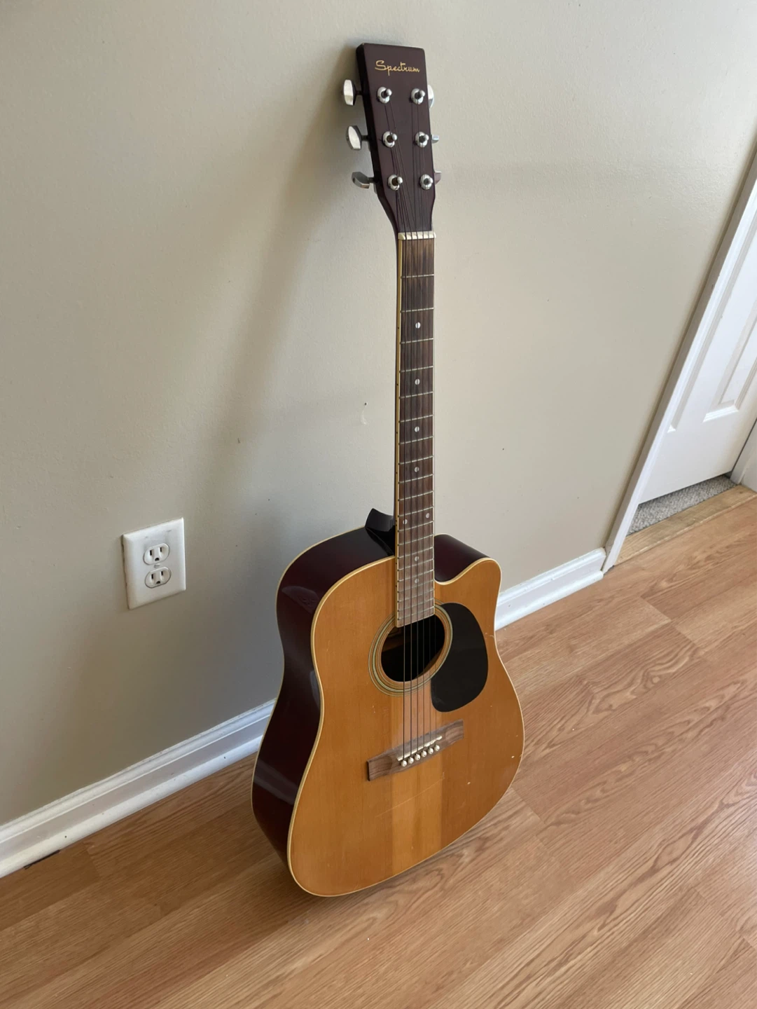 Spectrum Acoustic Guitar