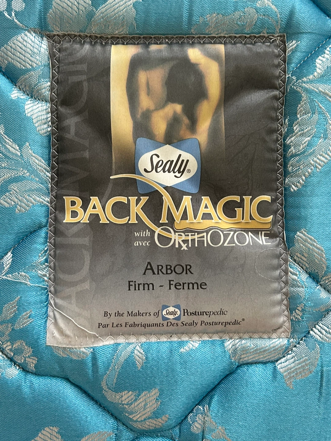 Sealy Queen sized Mattress