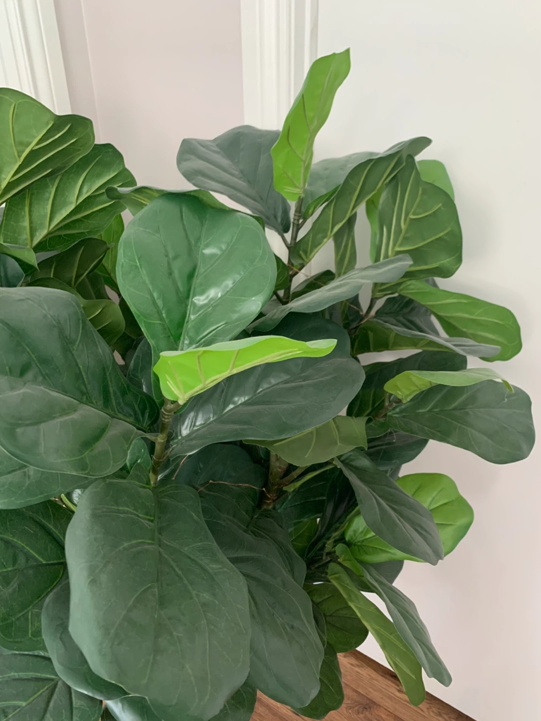 🪴 Artificial/Faux Fiddle Leaf Fig Tree - Very Lush - photo 2