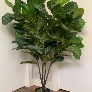 🪴 Artificial/Faux Fiddle Leaf Fig Tree - Very Lush
