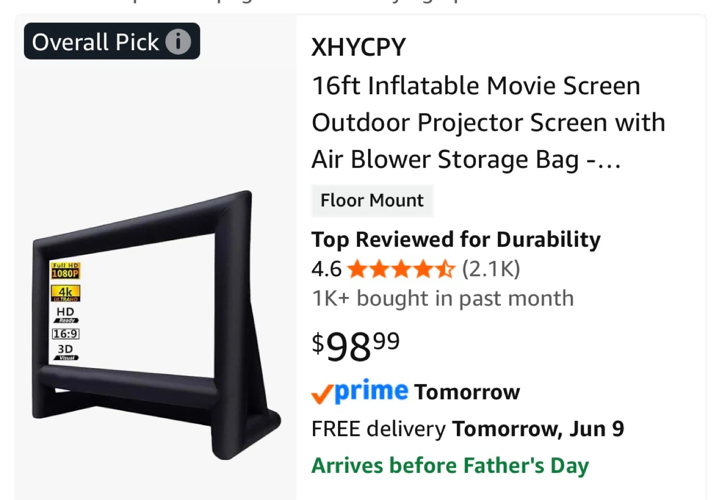 16 ft Inflatable Outdoor Projector Screen