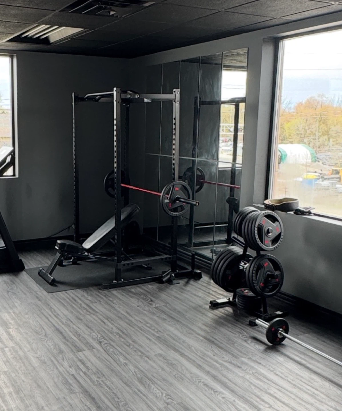 Gym equipment/Olympic Plate Set