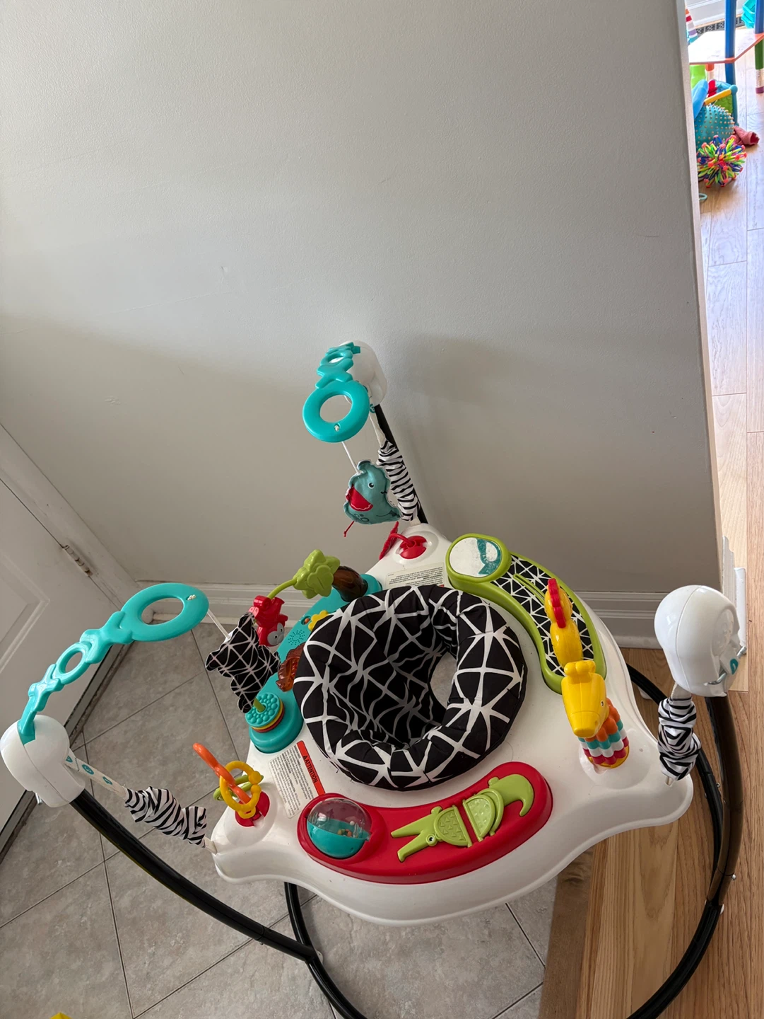 Fisher-Price Jumperoo - photo 2
