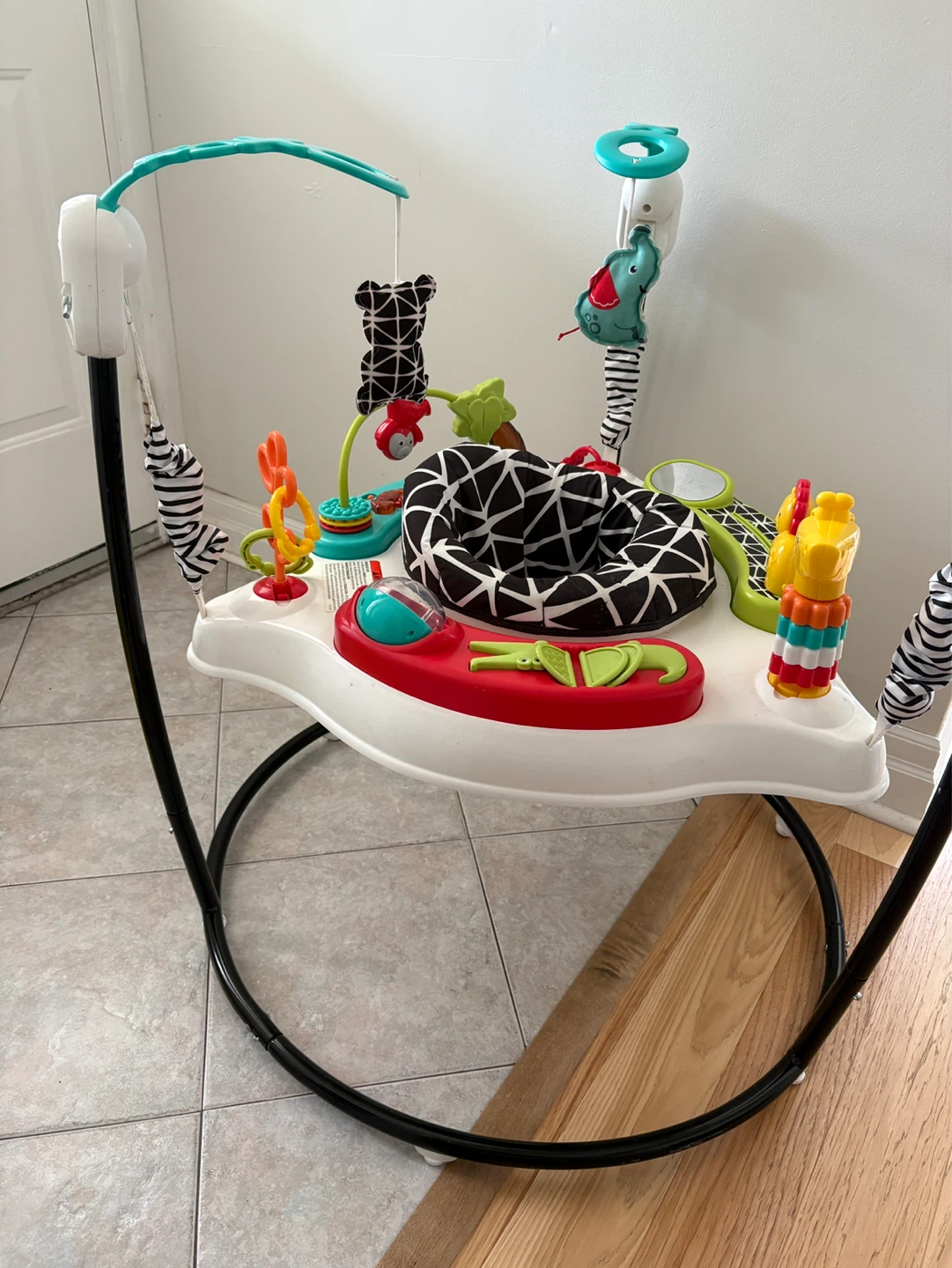 Fisher-Price Jumperoo - photo 3