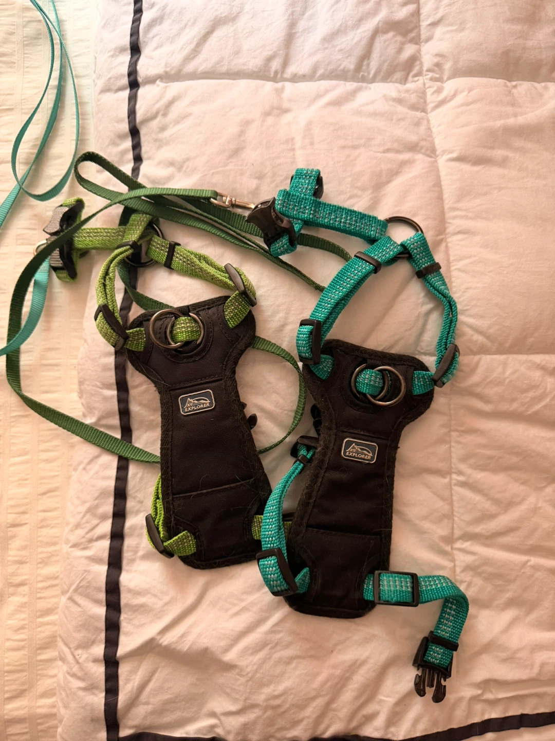 K9 Explorer small Dog or cat Harness Set with Leash
