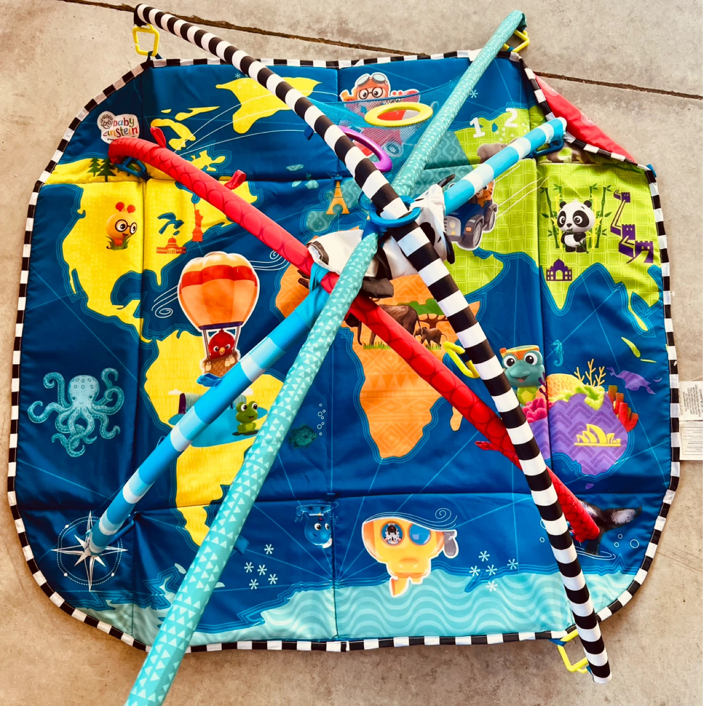 Baby Einstein Play Mat