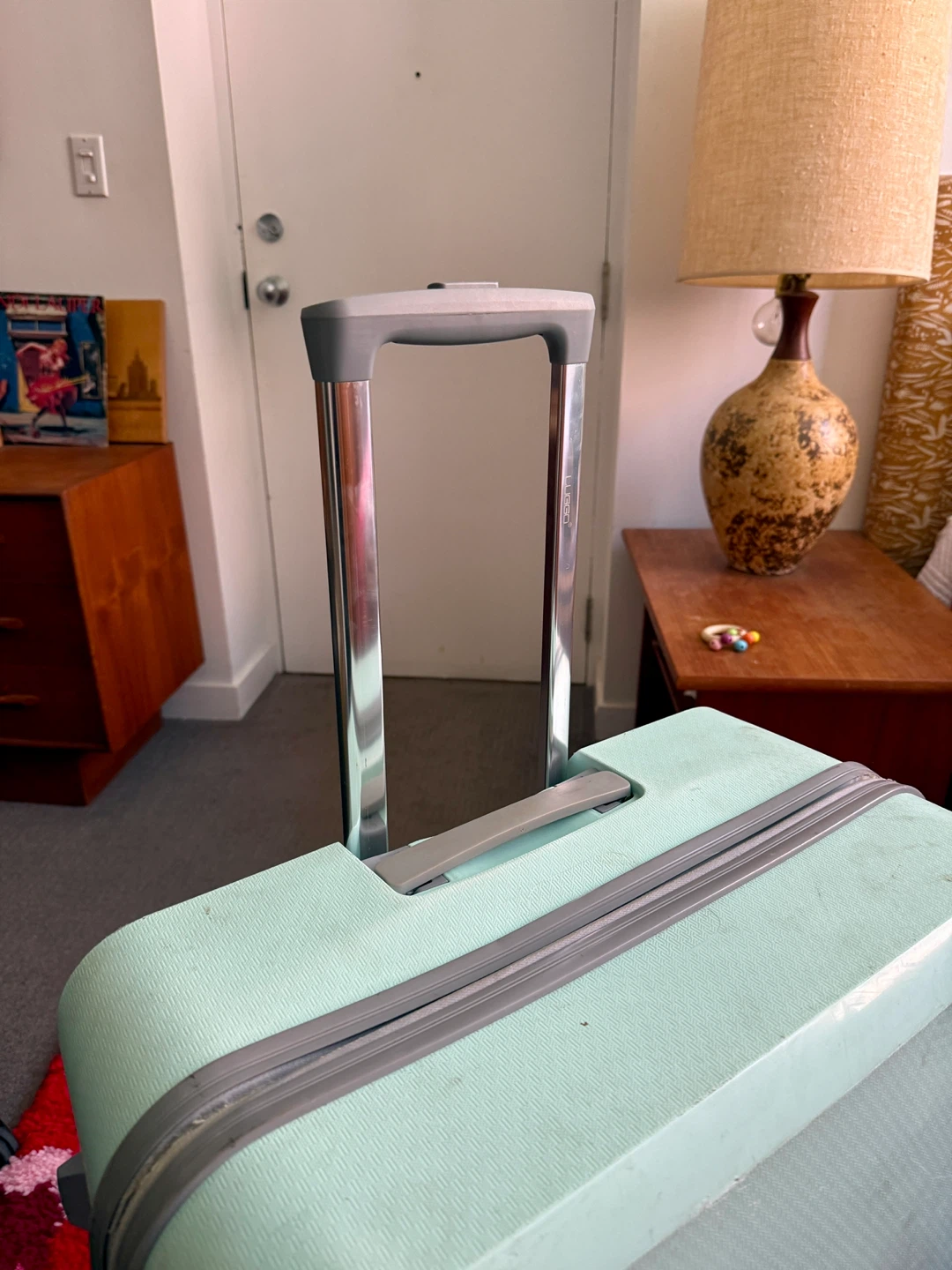 Mint Green Spinner Checked Luggage - photo 3