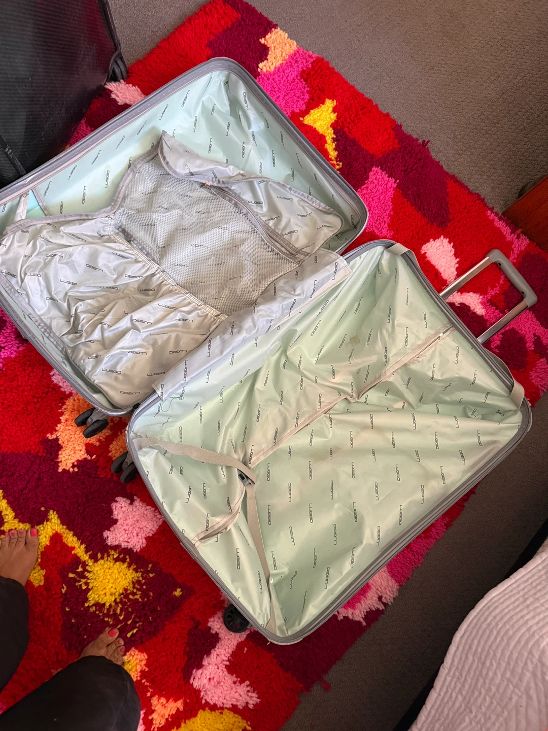 Mint Green Spinner Checked Luggage - photo 5