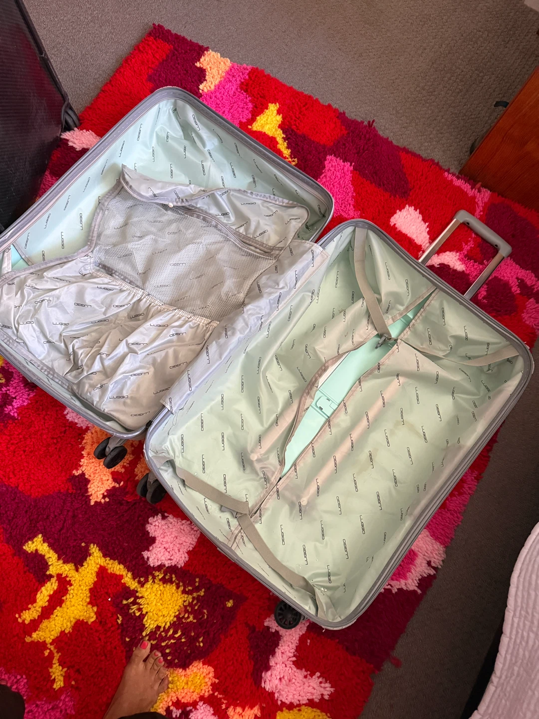 Mint Green Spinner Checked Luggage - photo 4