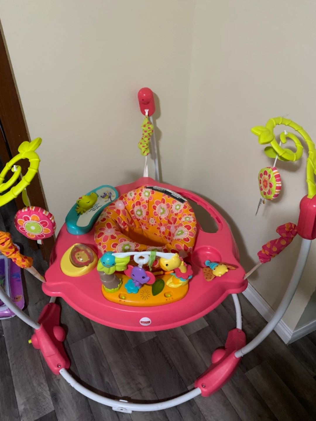 Fisher-Price Jumperoo