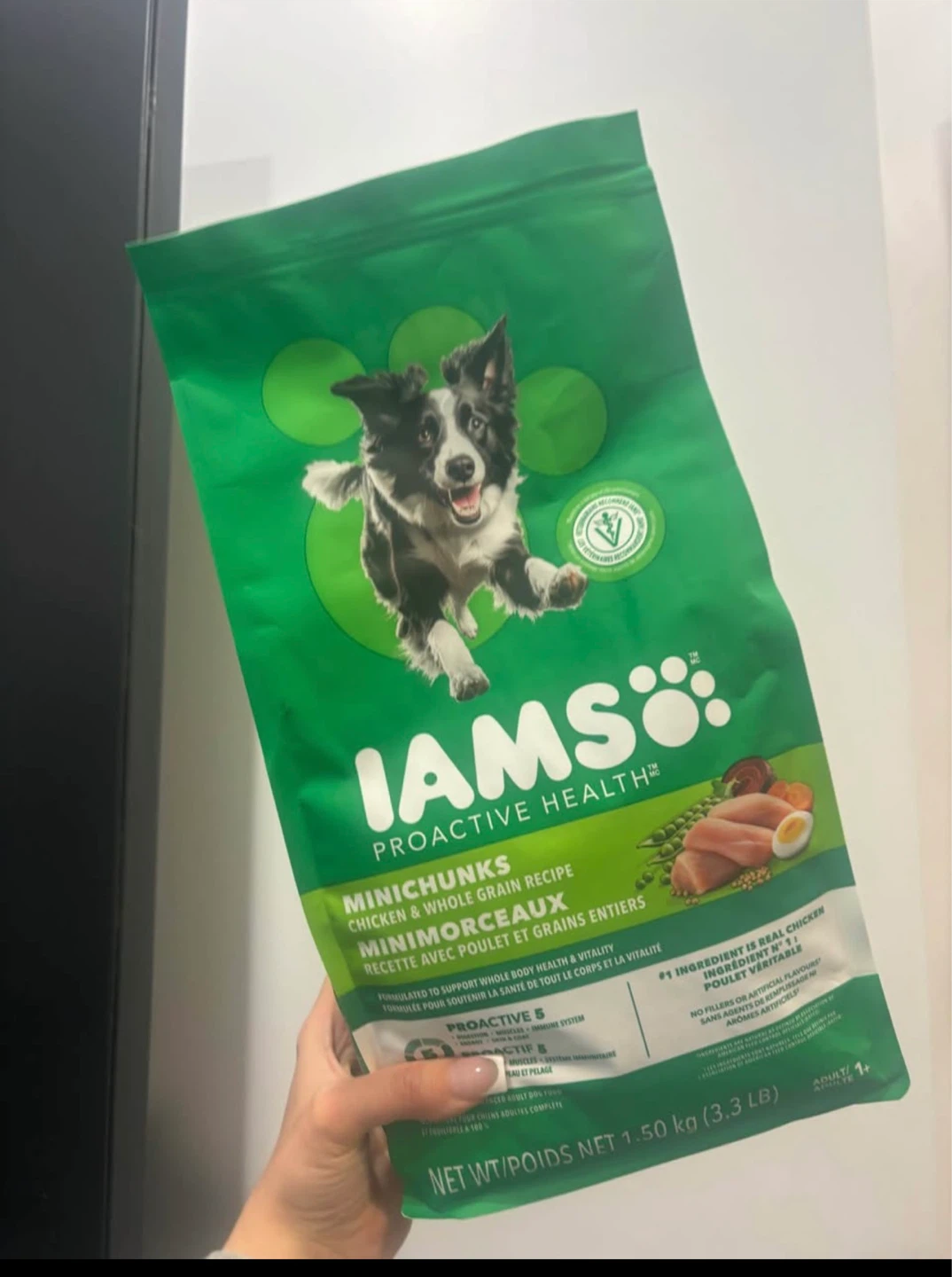 Iams dog food