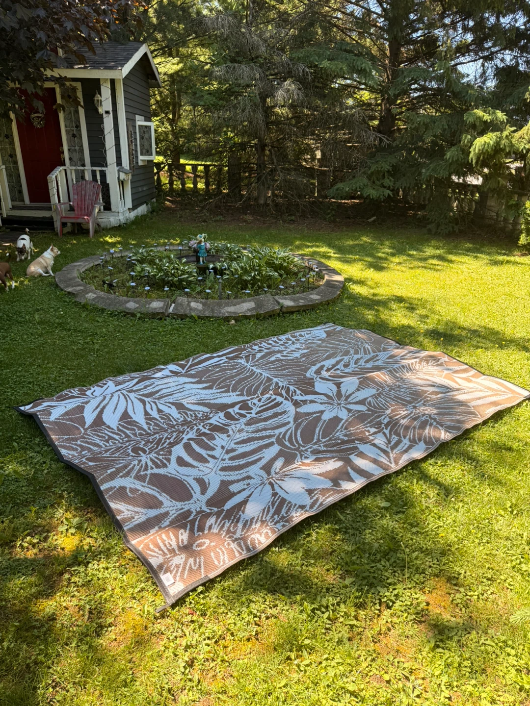 Large Outdoor Patio carpet - photo 2