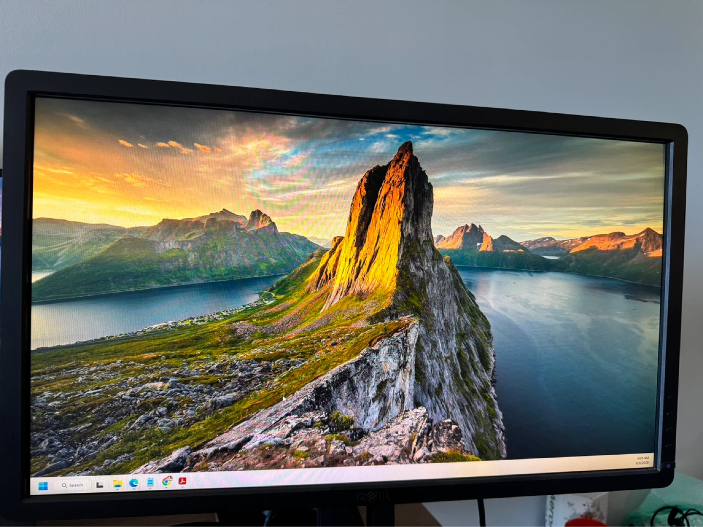 Dell P2412Hb Monitor