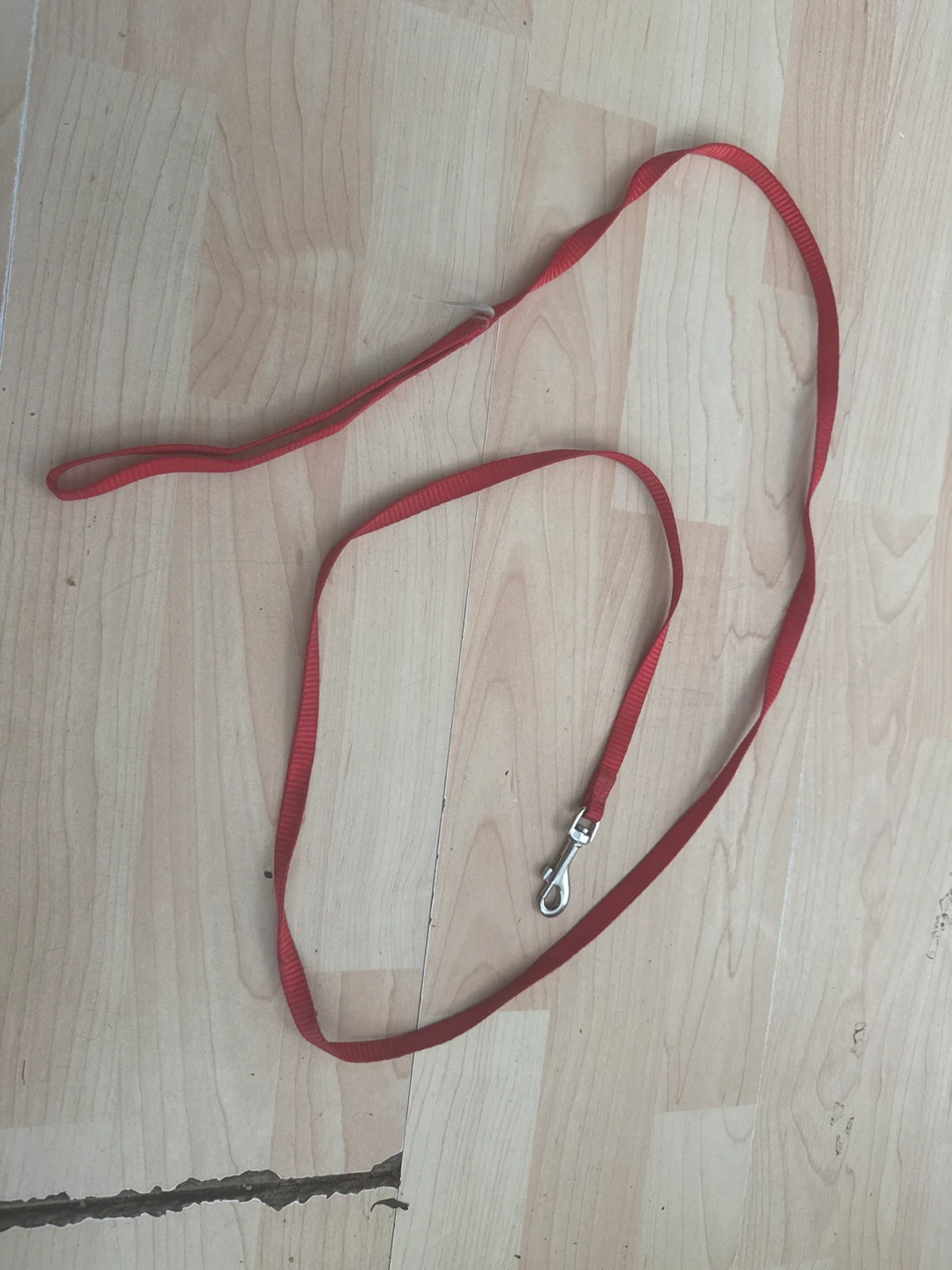 Red Pet Leash
