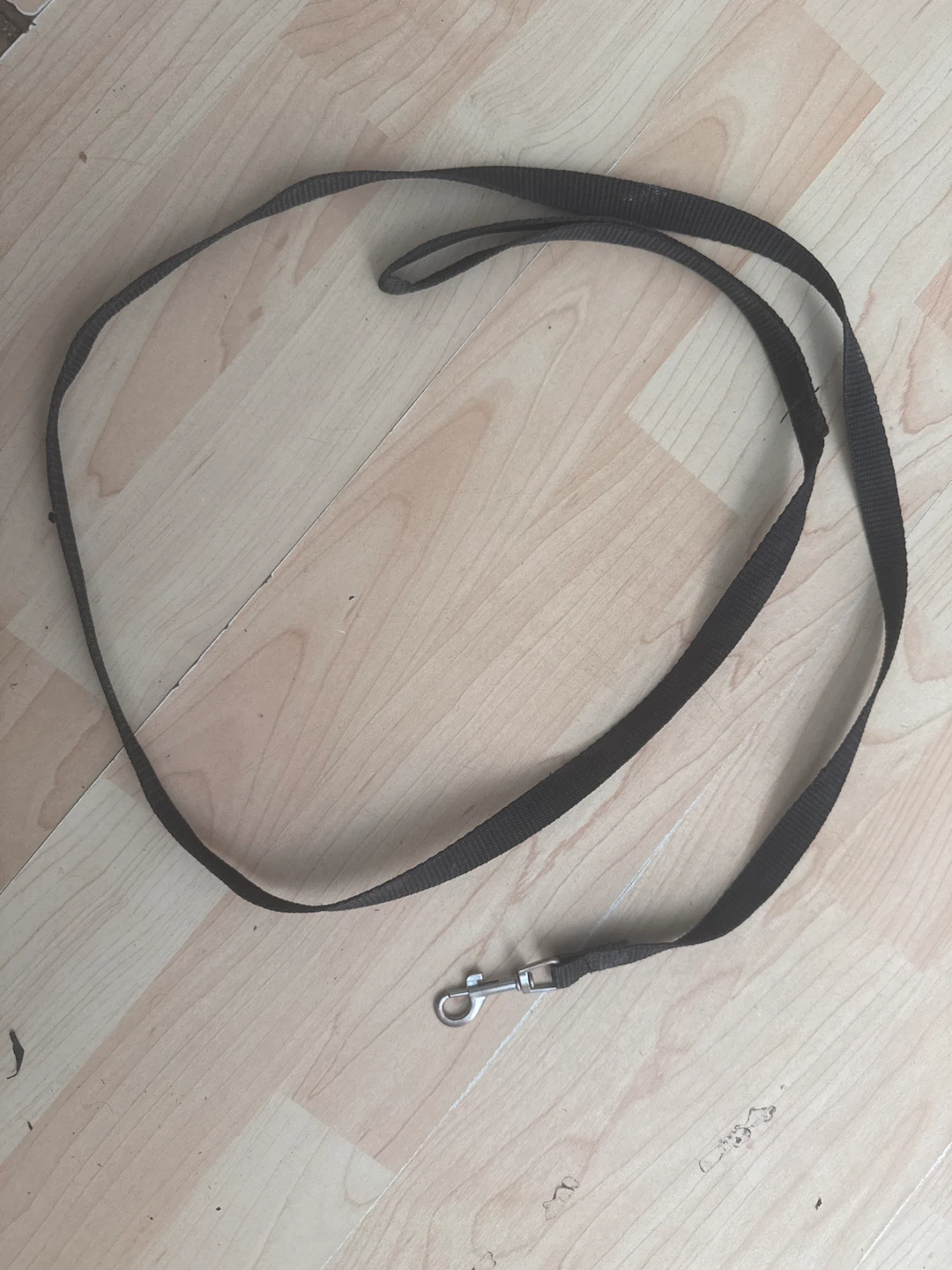 Dark Grey Dog Leash