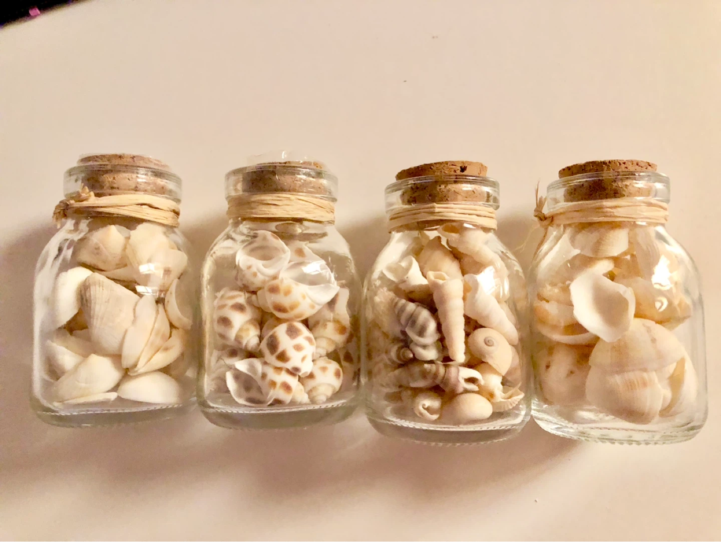 small glass jars with seashells $5 each jar