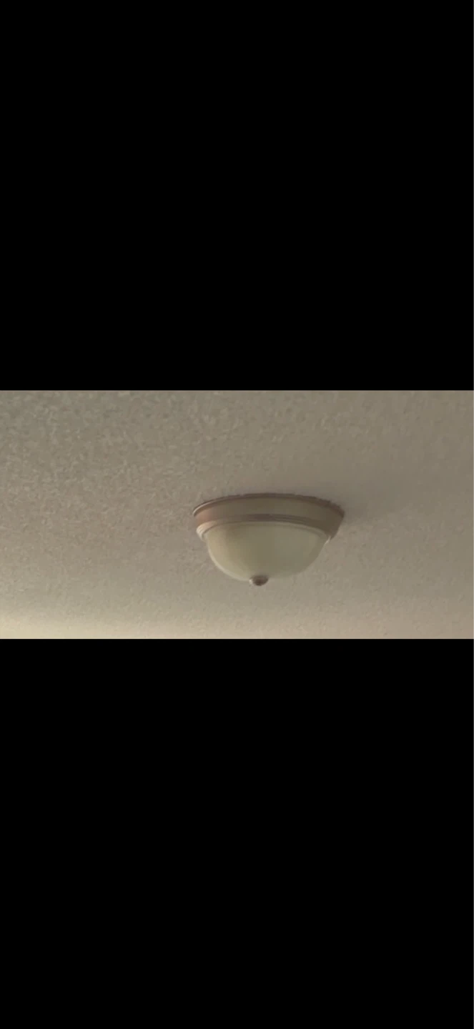 Flush Mount Ceiling Light Fixture- Hugely Reduced!