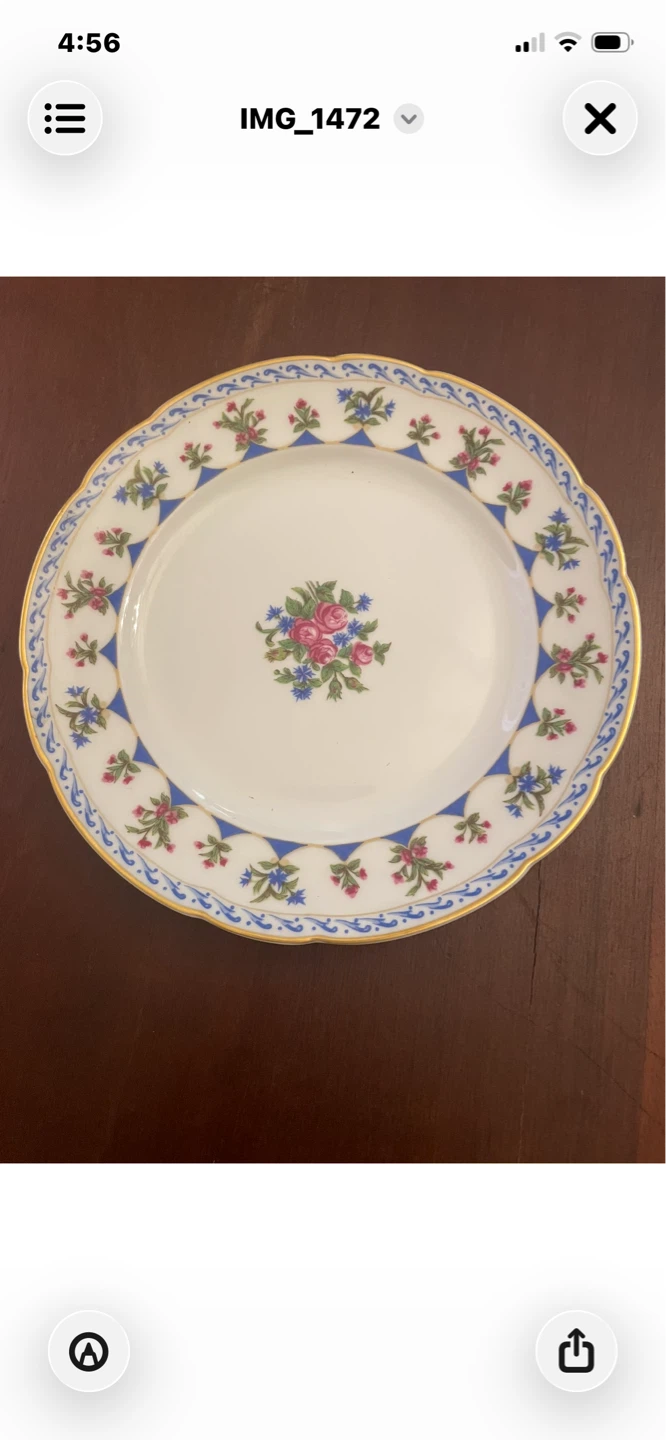 Bernardaud Limoges Chateaubriand Blue 100‑piece set. - photo 2