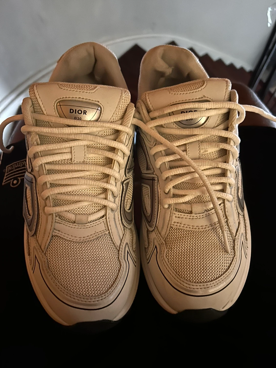 Dior B30 Sneakers