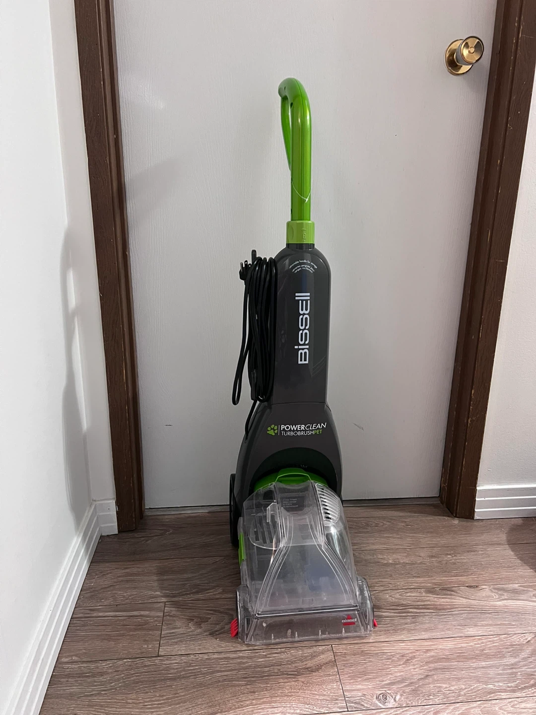 Bissell PowerClean TurboBrush Pet Carpet Cleaner