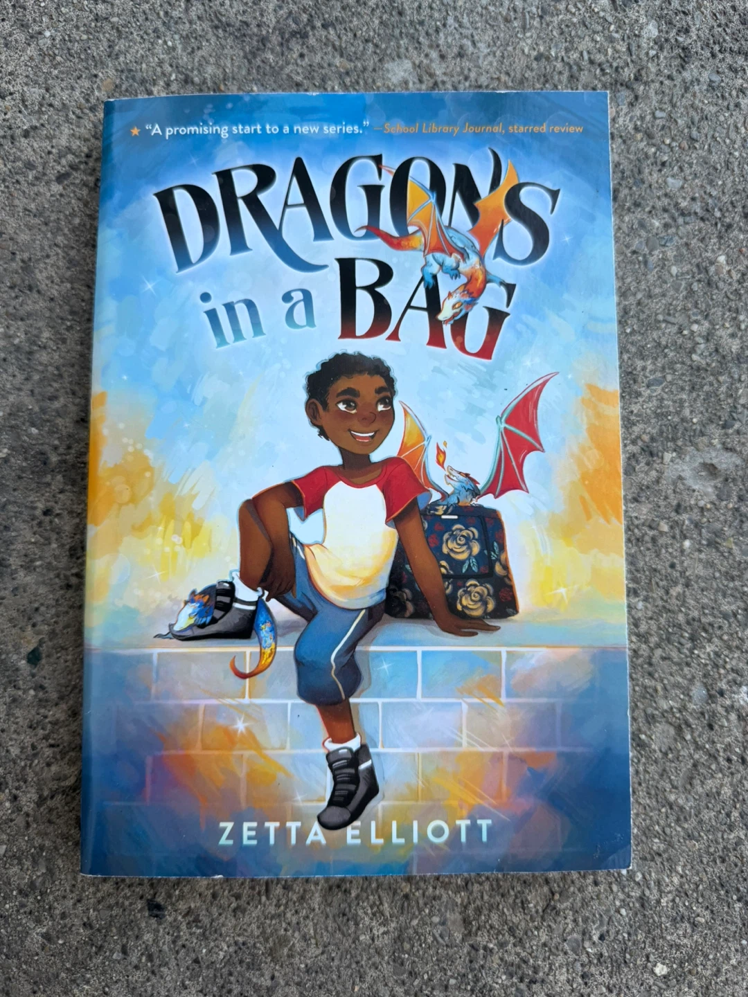 Dragons in a bag book