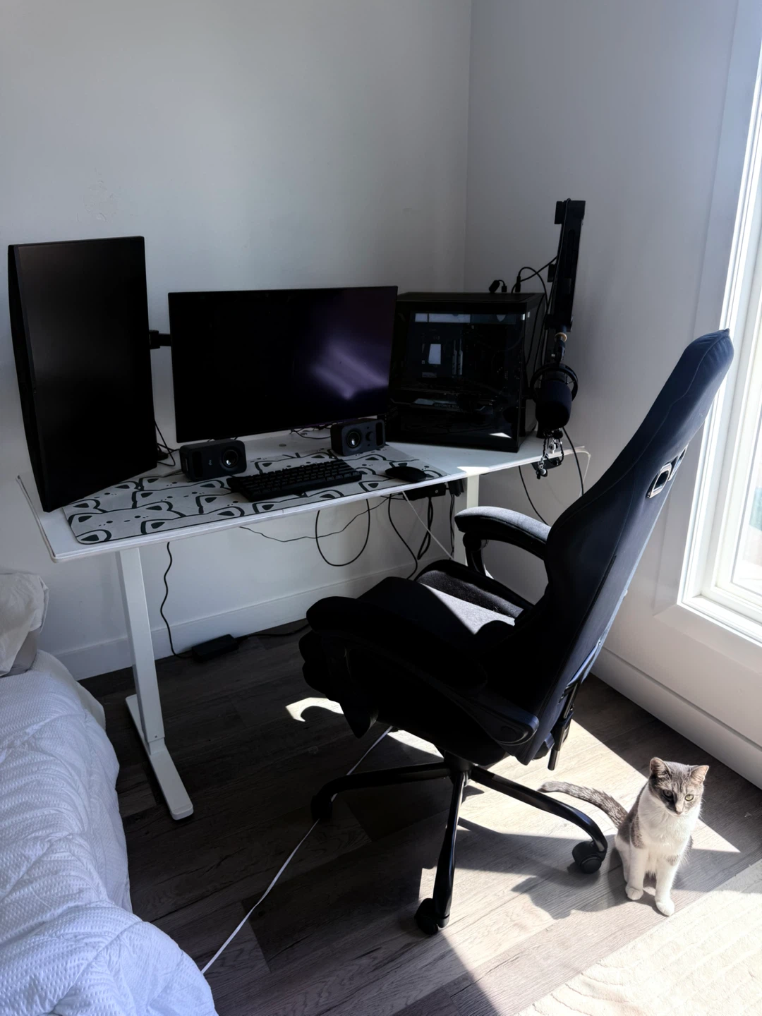 🔥 Full Gaming & Streaming Setup for Sale 🔥 - photo 3