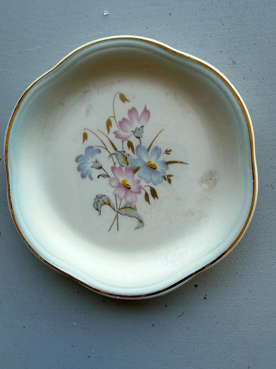 Palissy Royal Worcester Spode Floral Dish
