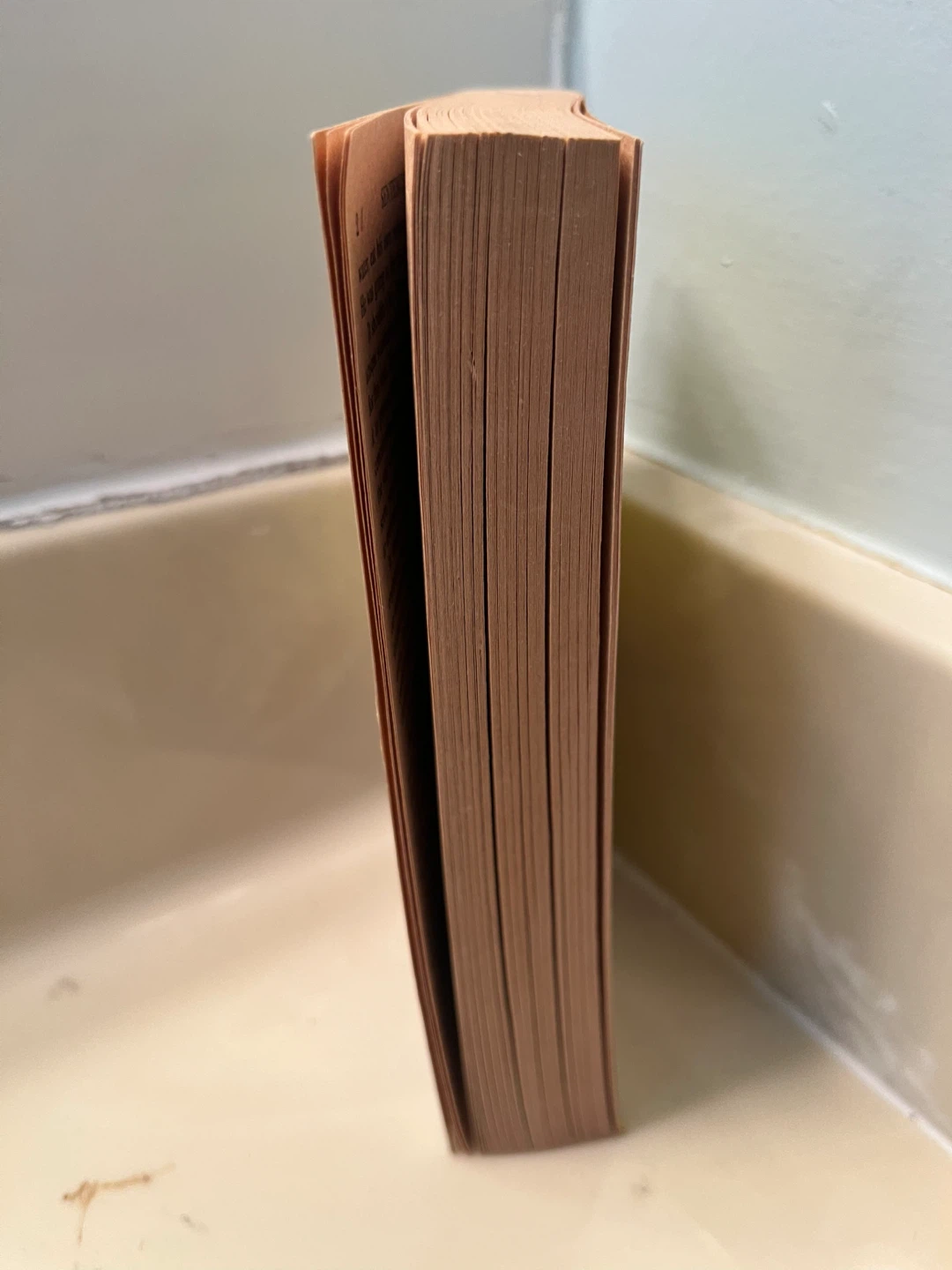 Sentenced to Prism 1985 Paperback Book - photo 4
