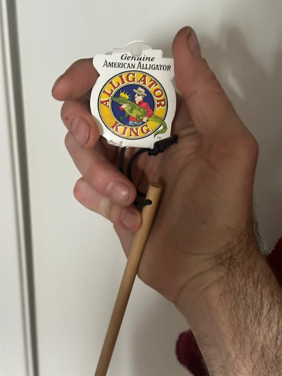 Taxidermy Alligator Back Scratcher - photo 4