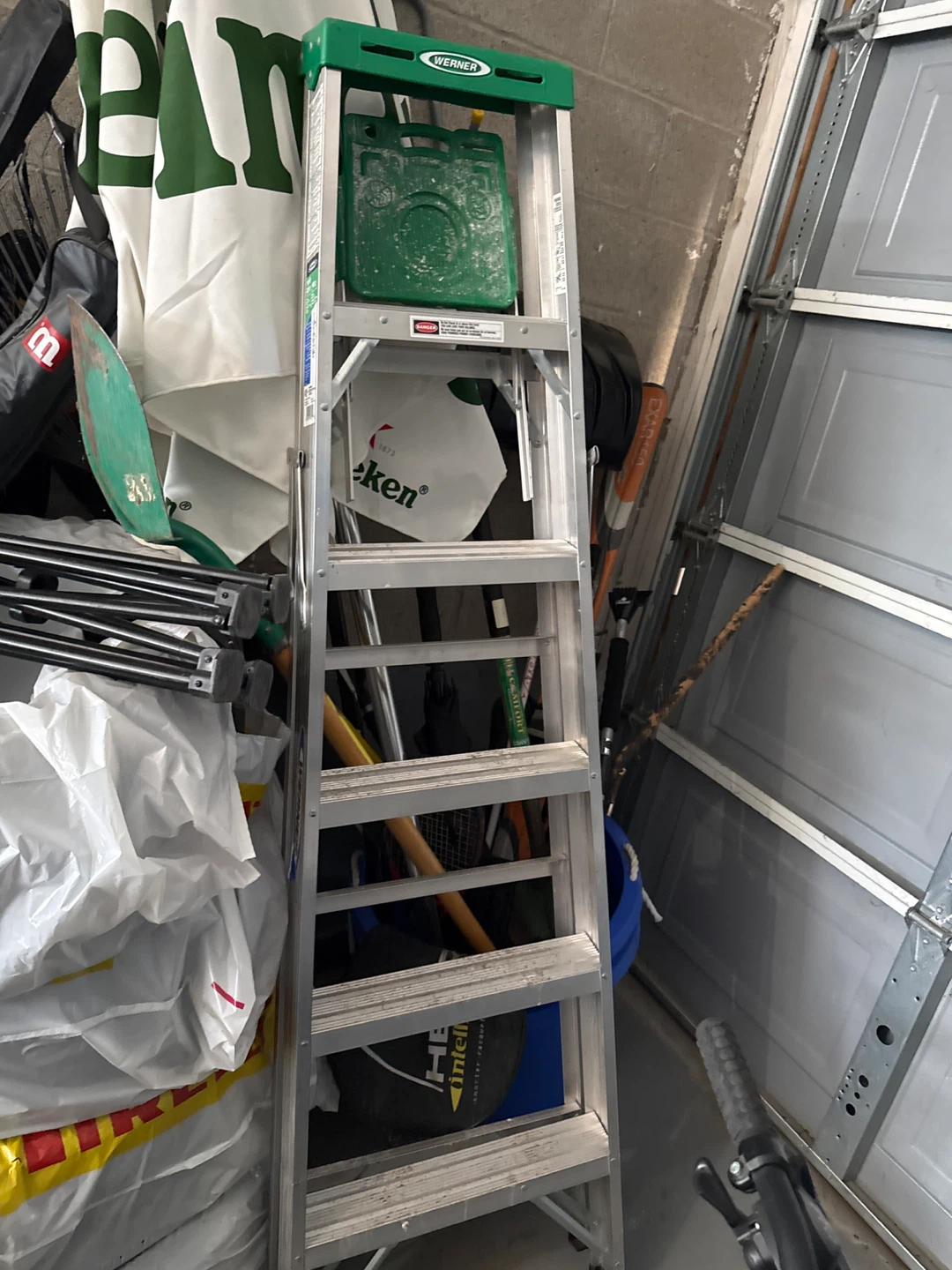Werner 6' Ladder