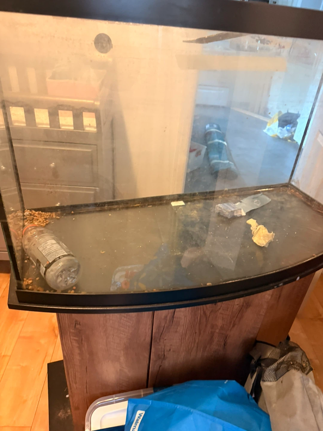 Curved Front Aquarium with Stand