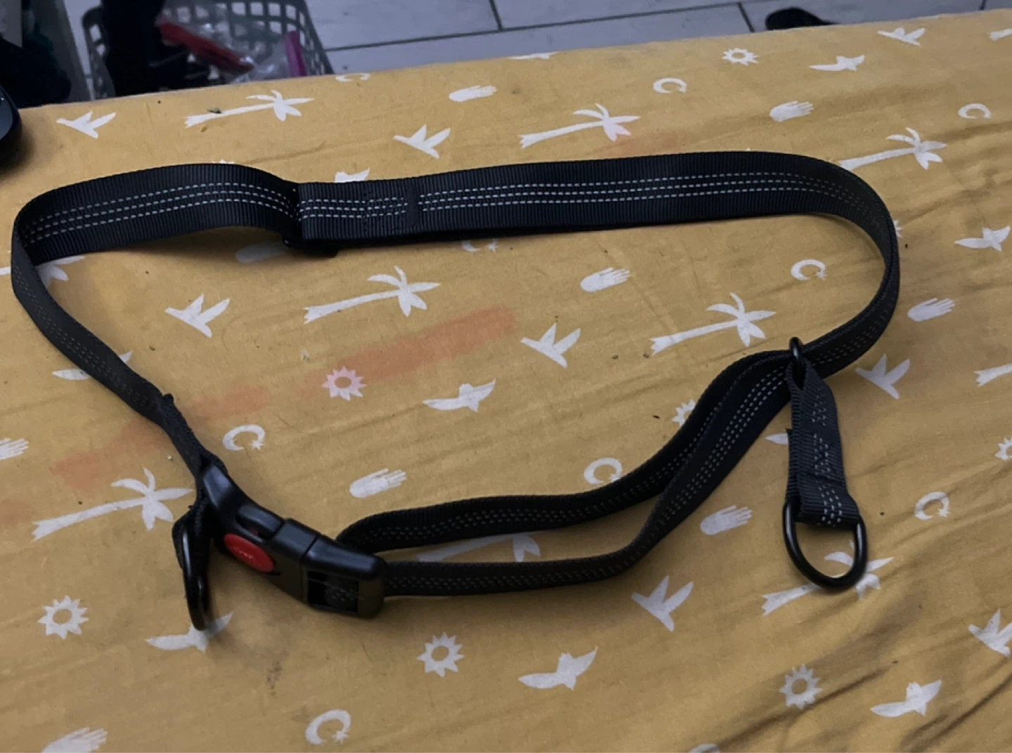 Black Nylon Pet Leash with Buckle