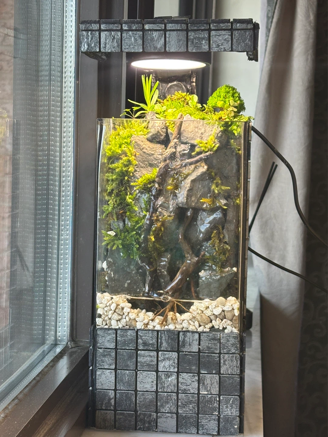 🌿 Naturals Paludarium Waterfall 🌿