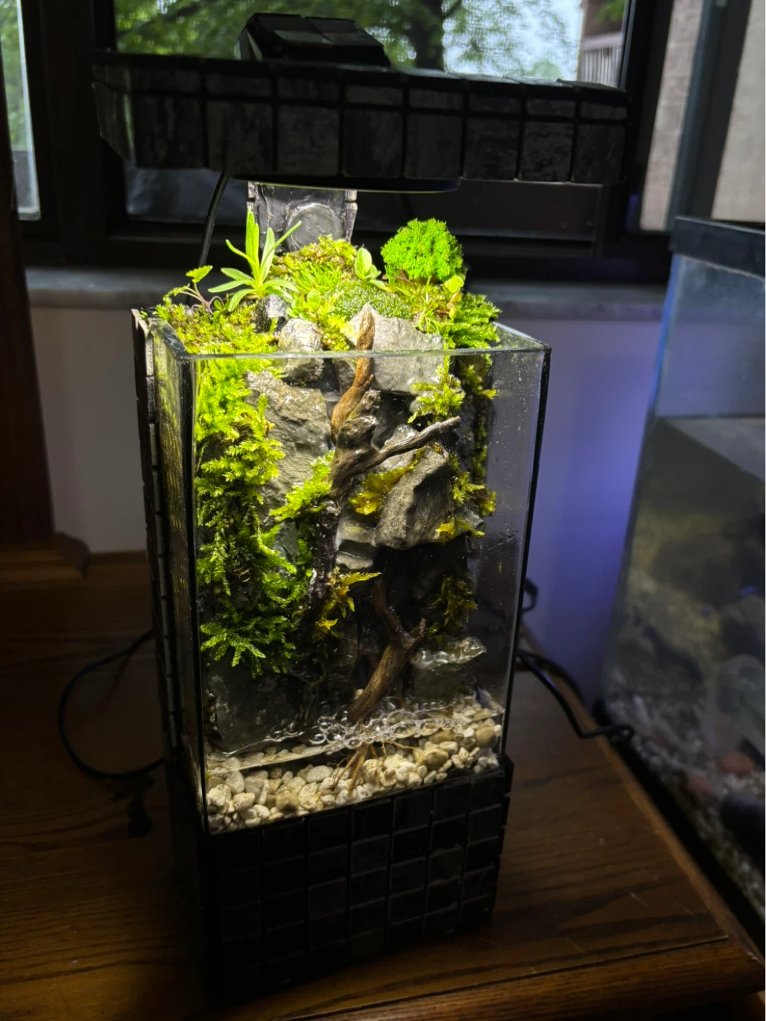 🌿 Naturals Paludarium Waterfall 🌿 - photo 2