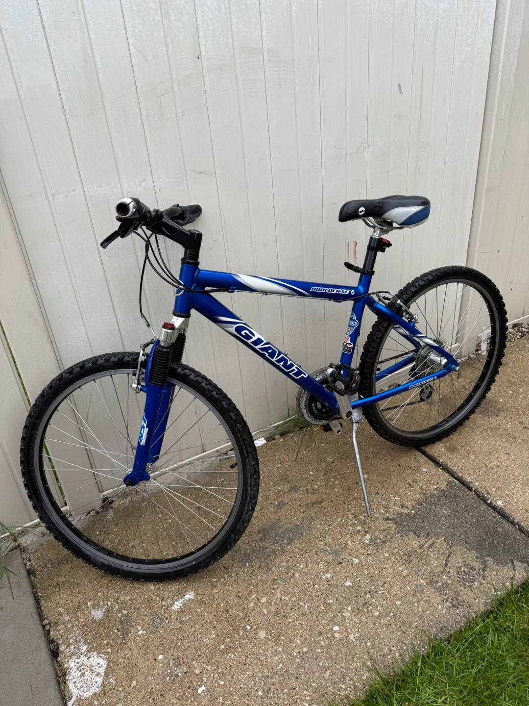 Blue Giant Mountain Bike