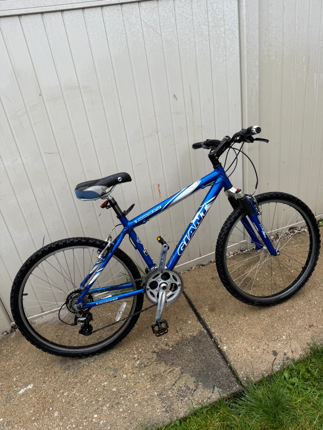 Blue Giant Mountain Bike - photo 5
