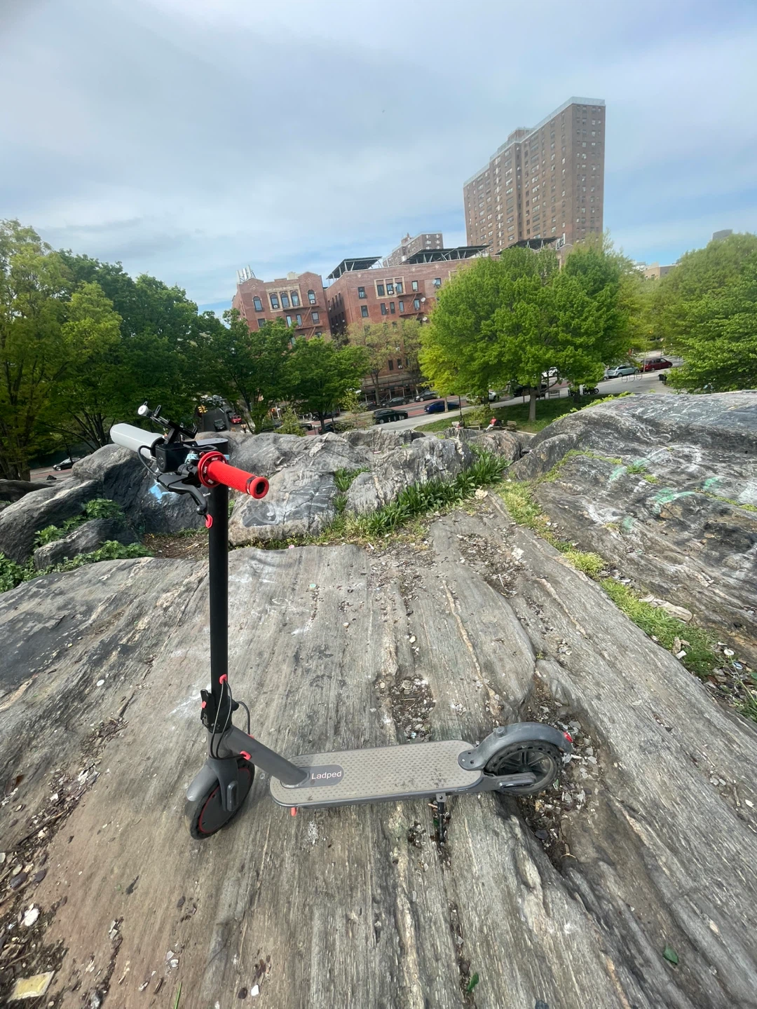 Ladped Electric Scooter - photo 3