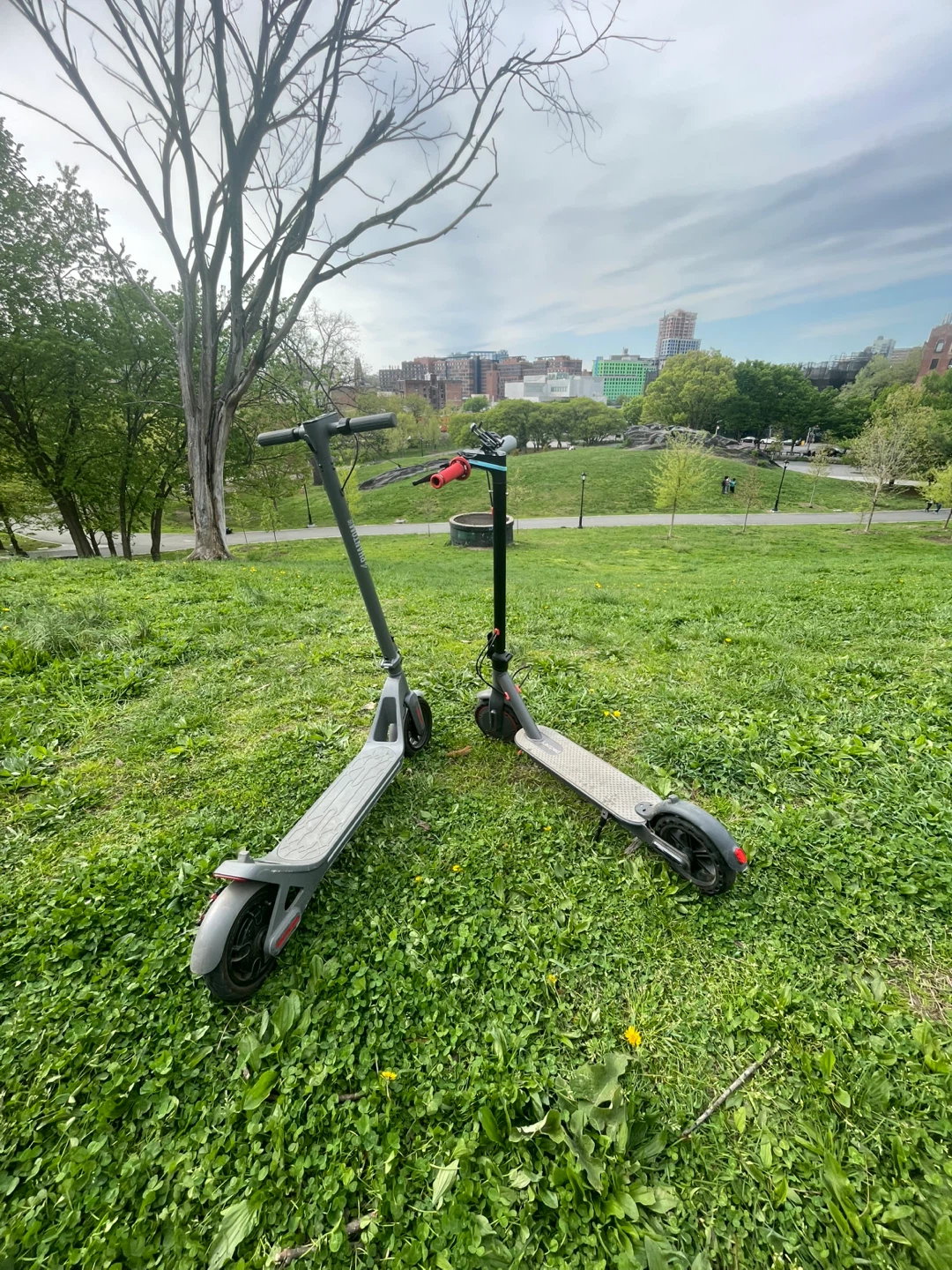 Ladped Electric Scooter - photo 2
