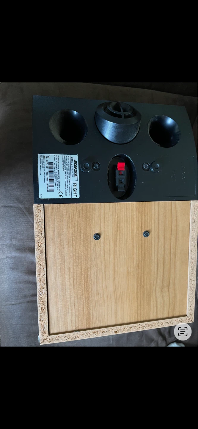 Bose 301 Series V Stereo Speakers - photo 4