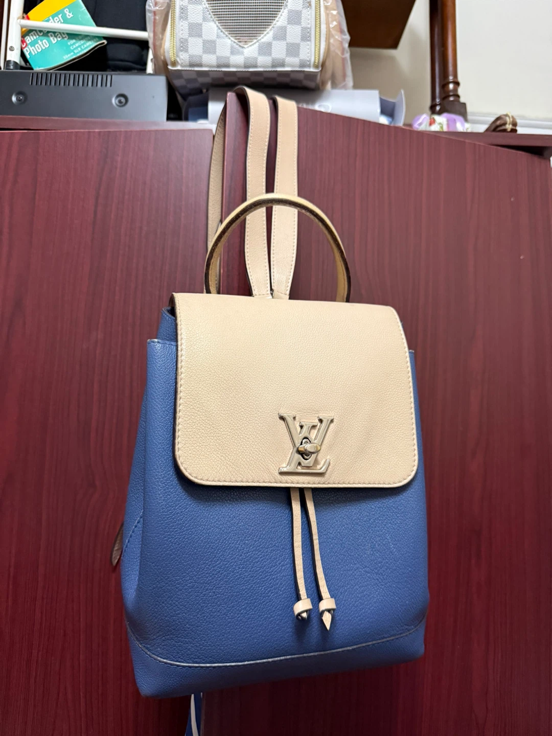 Louis Vuitton Palm Springs Mini Backpack