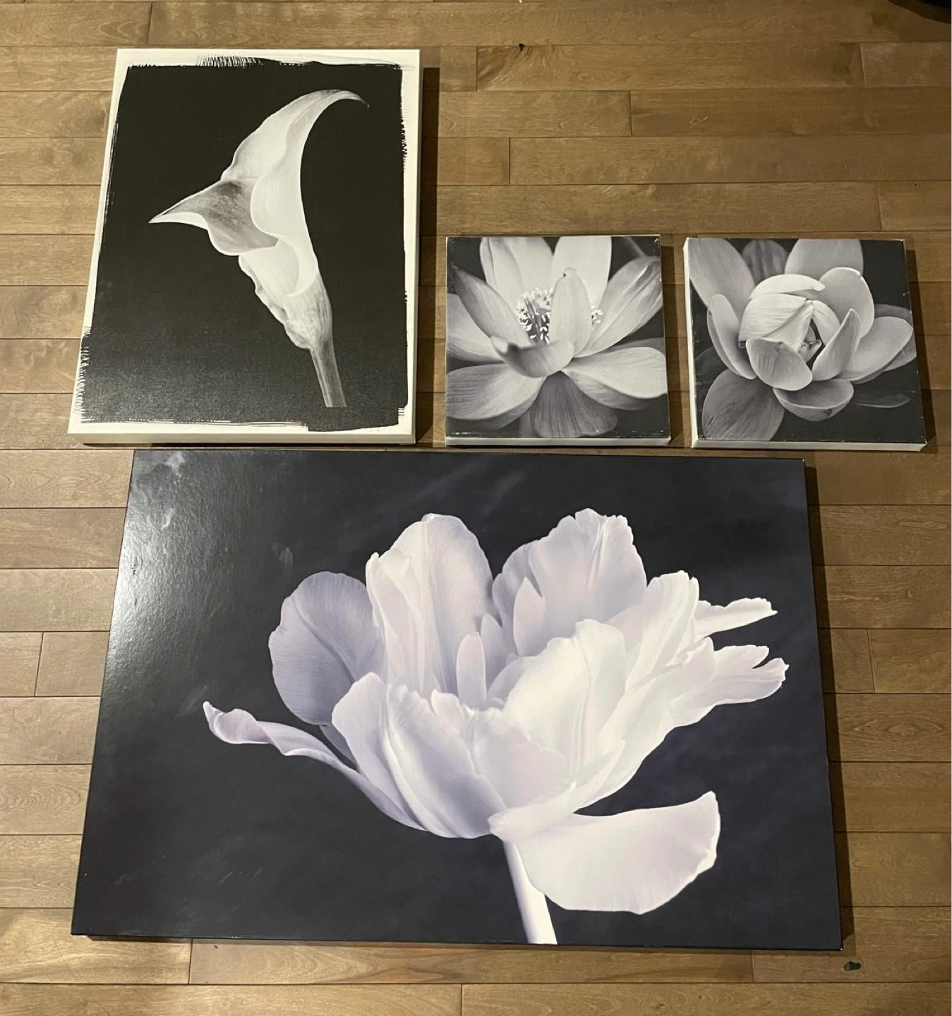 Set of 4 Black and White Floral Canvas Wall Art