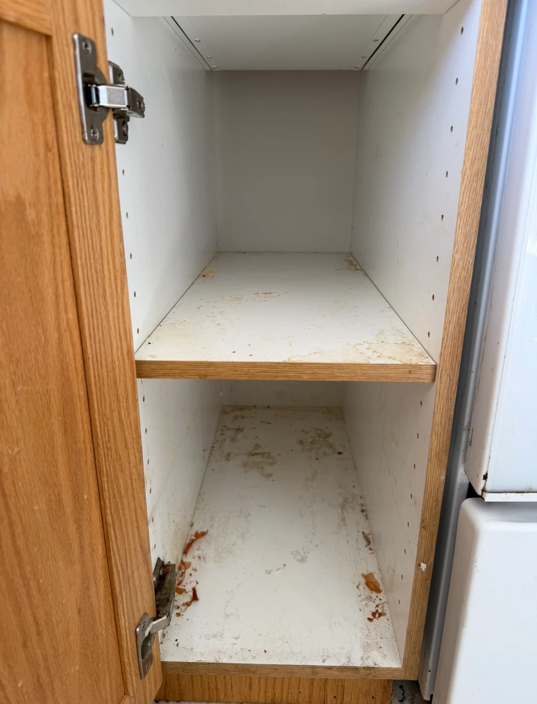Detailed cleaning services