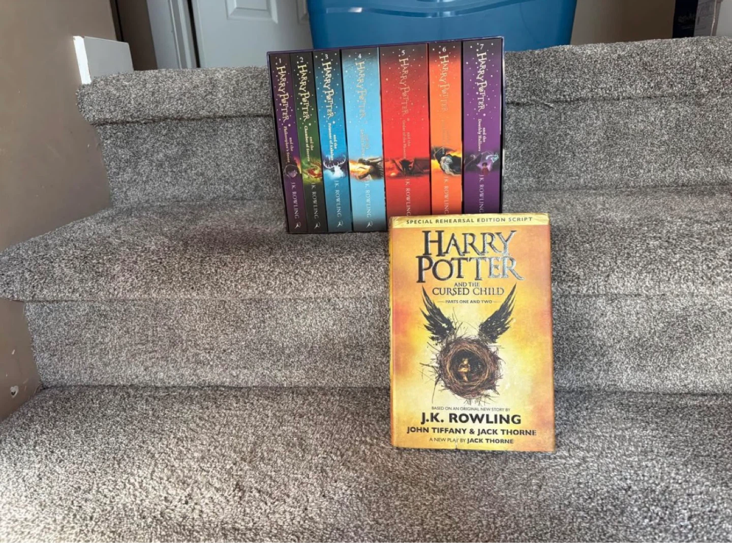 Harry Potter and Fantastic Beasts Funko Pop Collection - photo 5