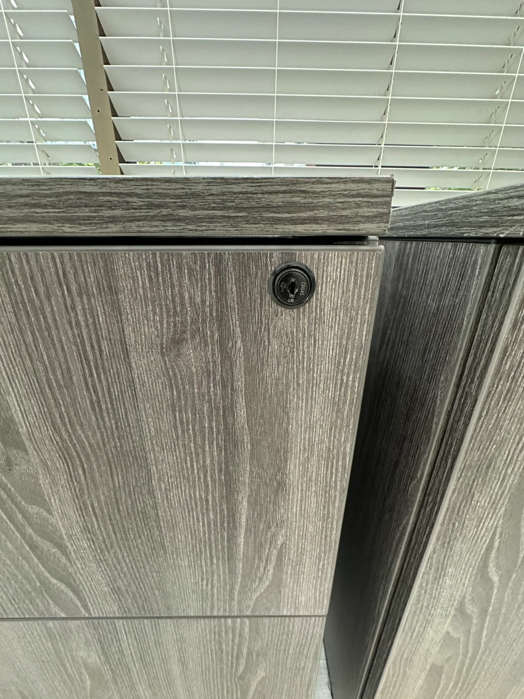 Grey Wood Grain Filing Cabinet and Storage Cabinet - photo 5