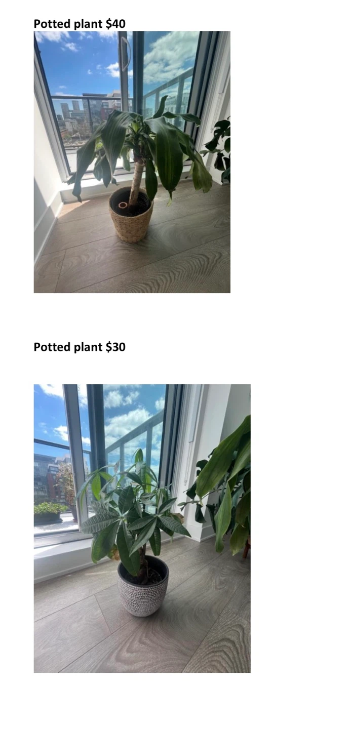 Moving Sale - photo 4