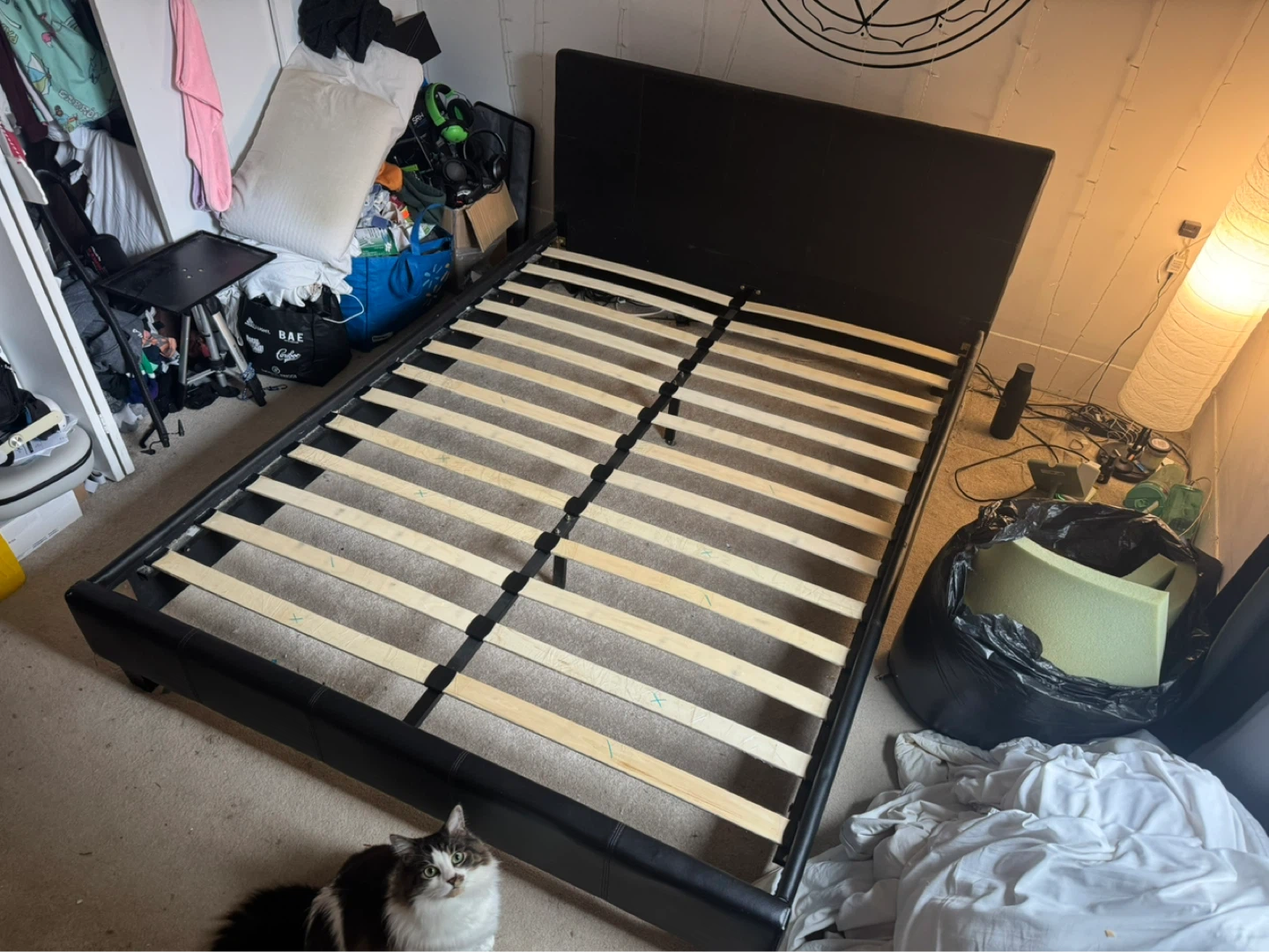 FREE Queen Black Faux Leather Bed Frame and Mattress
